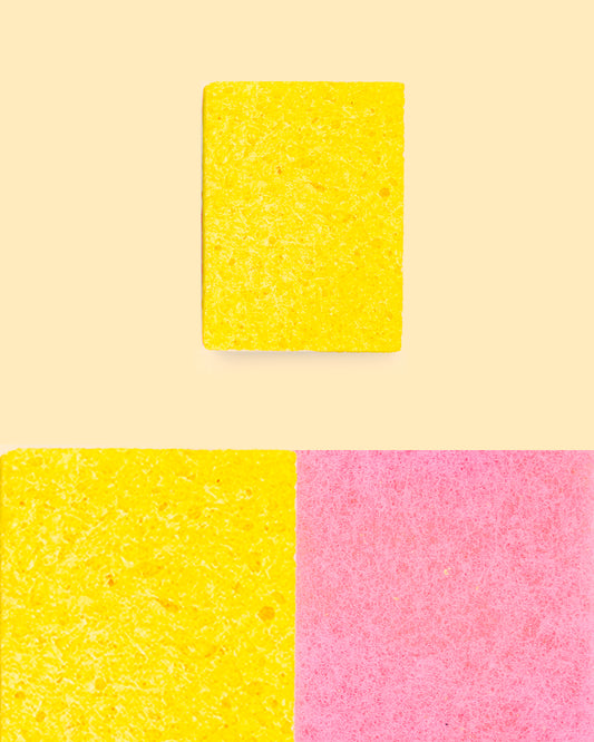 Esponja celulosa X1 - Fregona