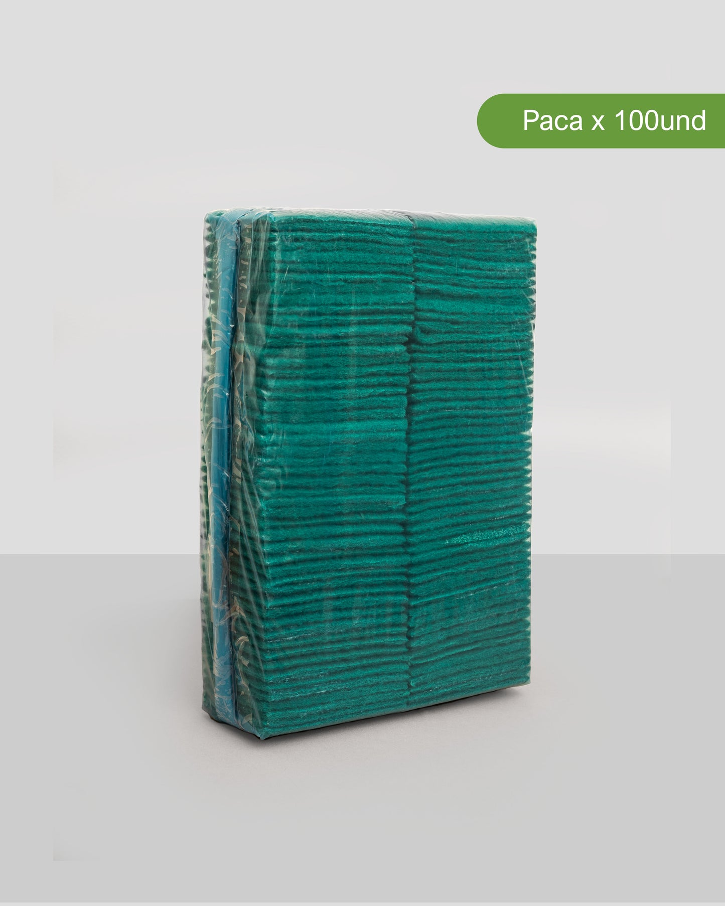 PAÑITO ABRASIVO COLORES