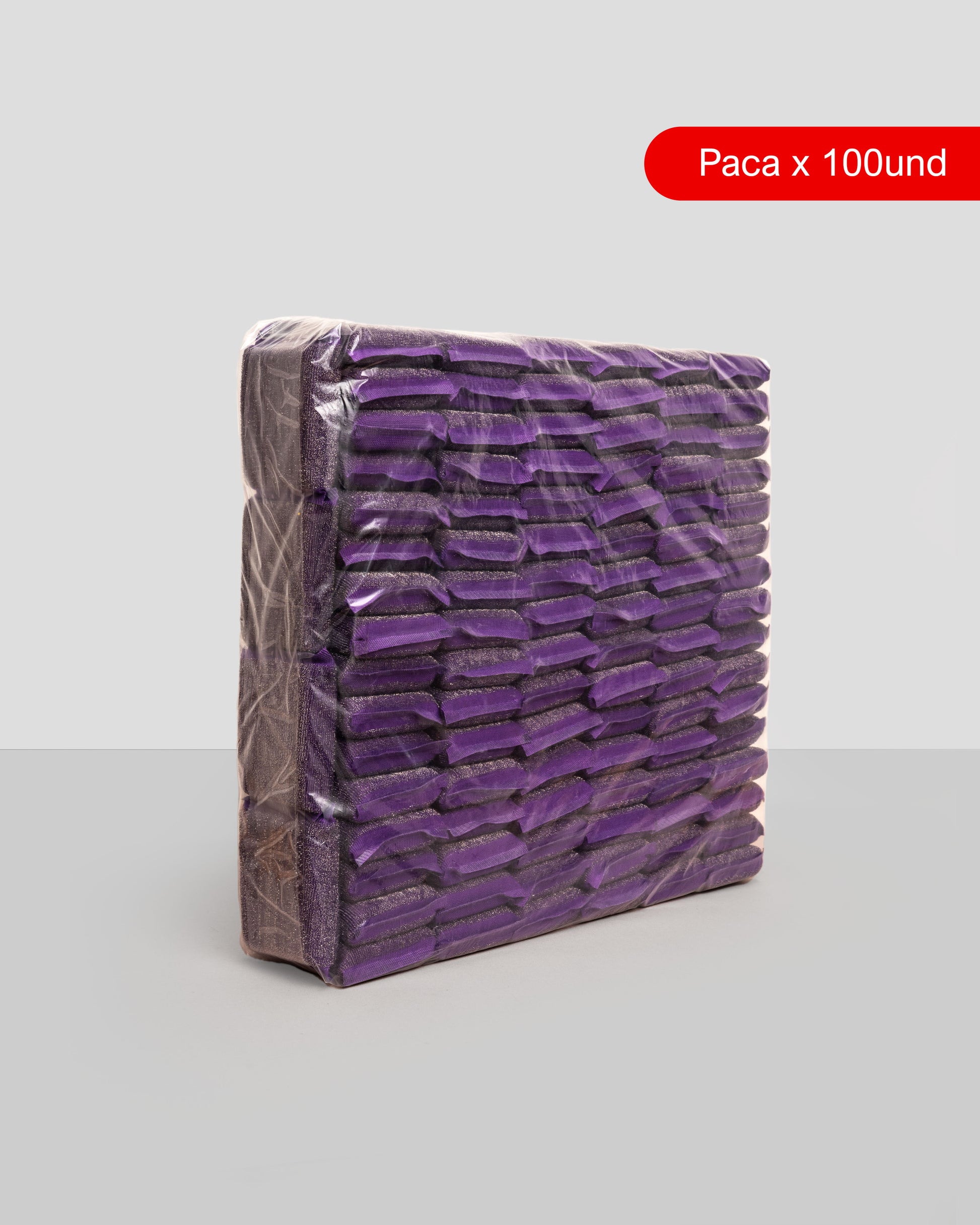 BRILLASPONJA - Fregona