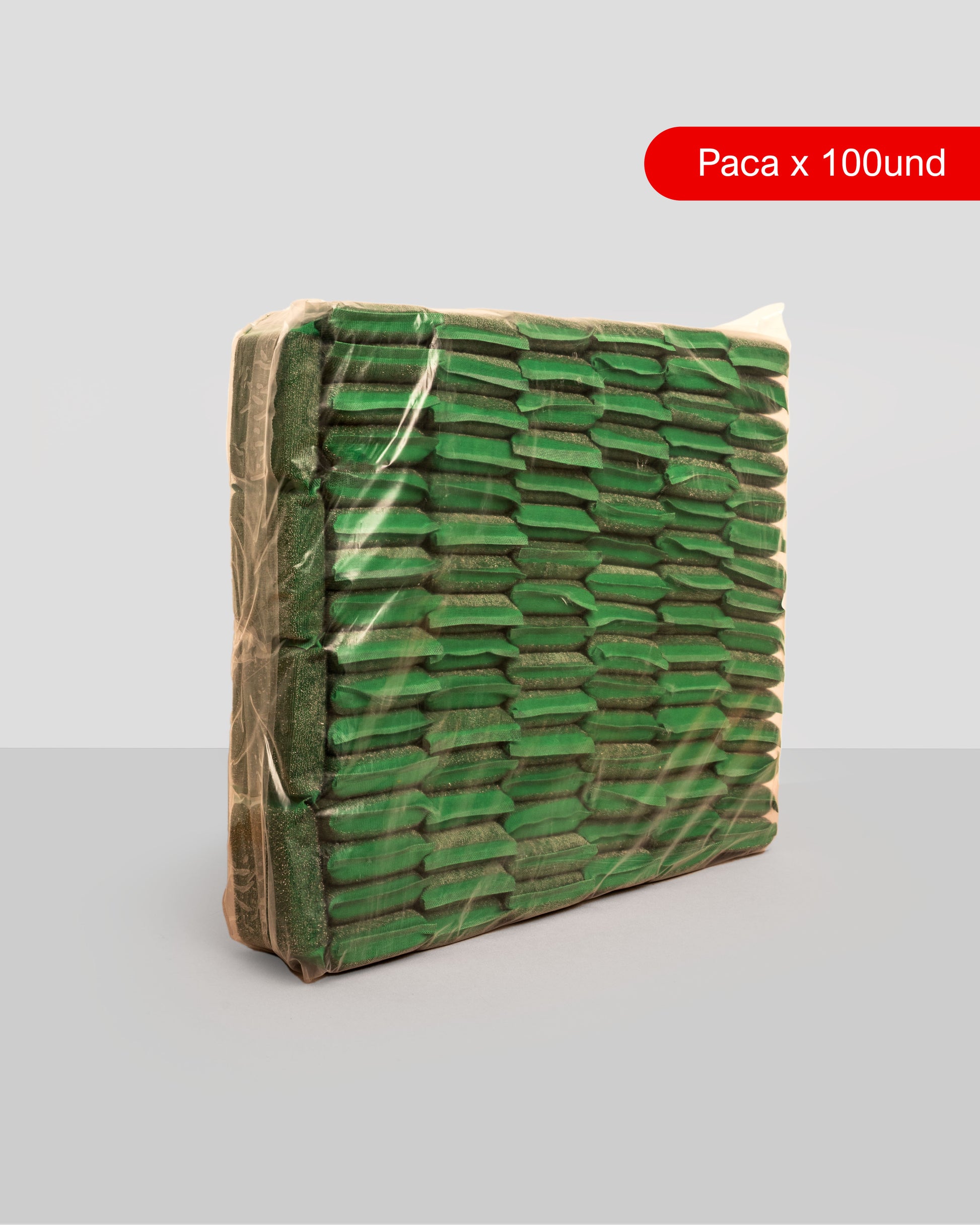 BRILLASPONJA - Fregona