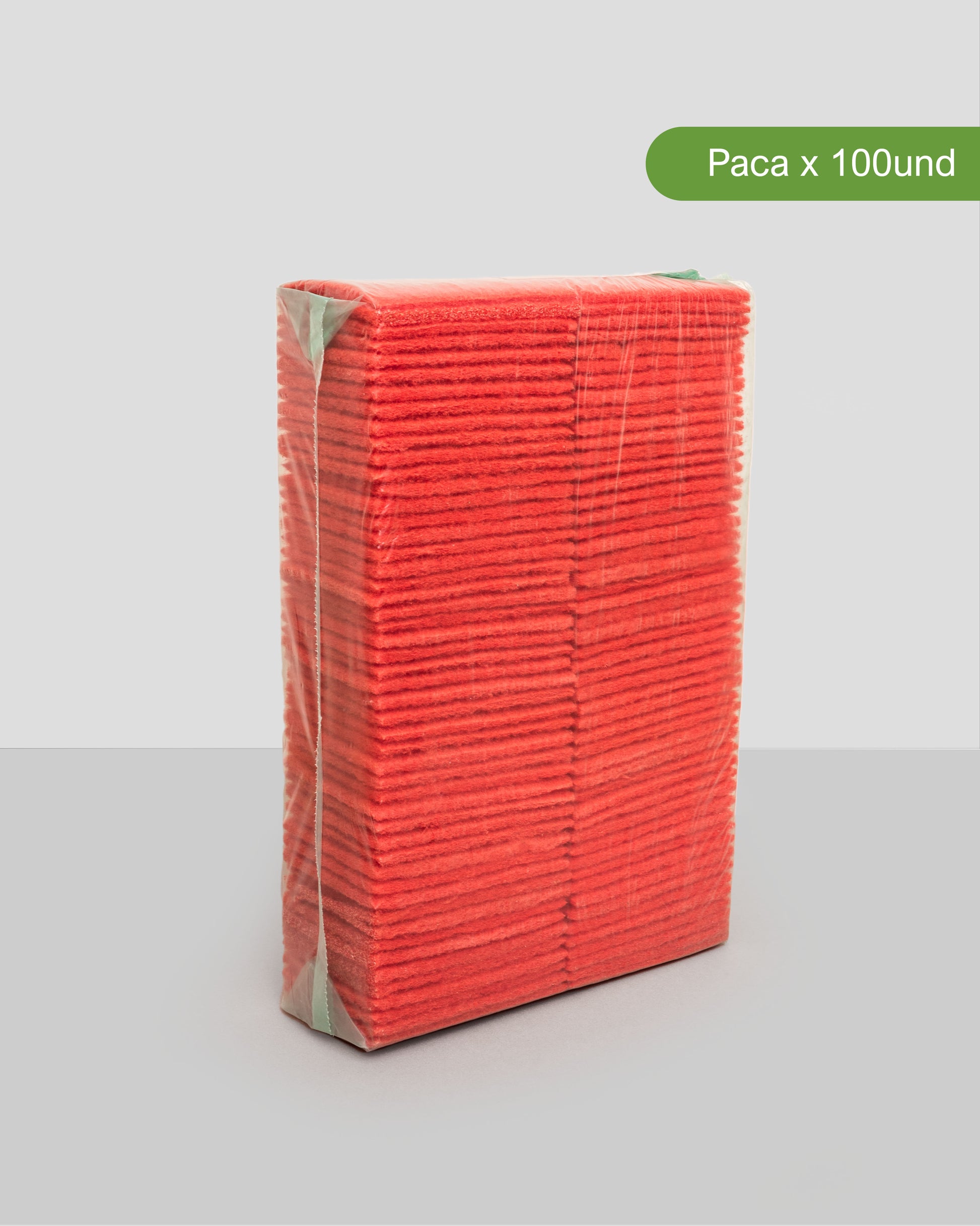 PAÑITO DE COLORES - Fregona