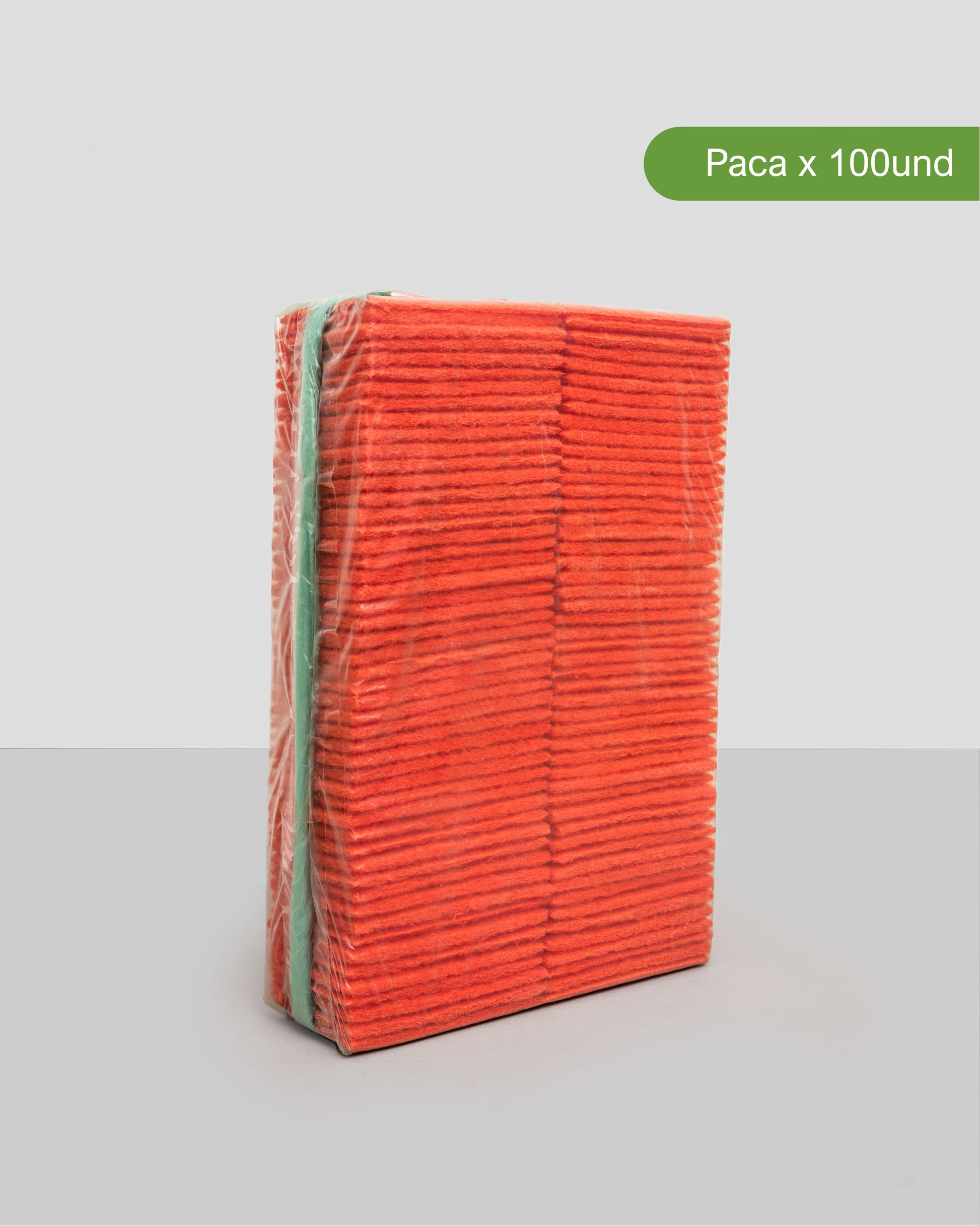 PAÑITO DE COLORES - Fregona